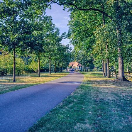 Pferdeparadies Untergruenhagen Bad Fallingbostel Buitenkant foto