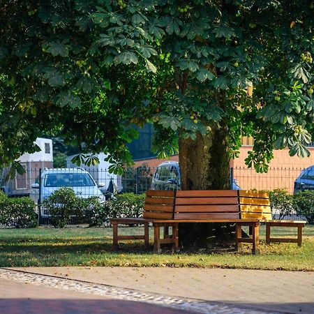 Pferdeparadies Untergruenhagen Bad Fallingbostel Buitenkant foto