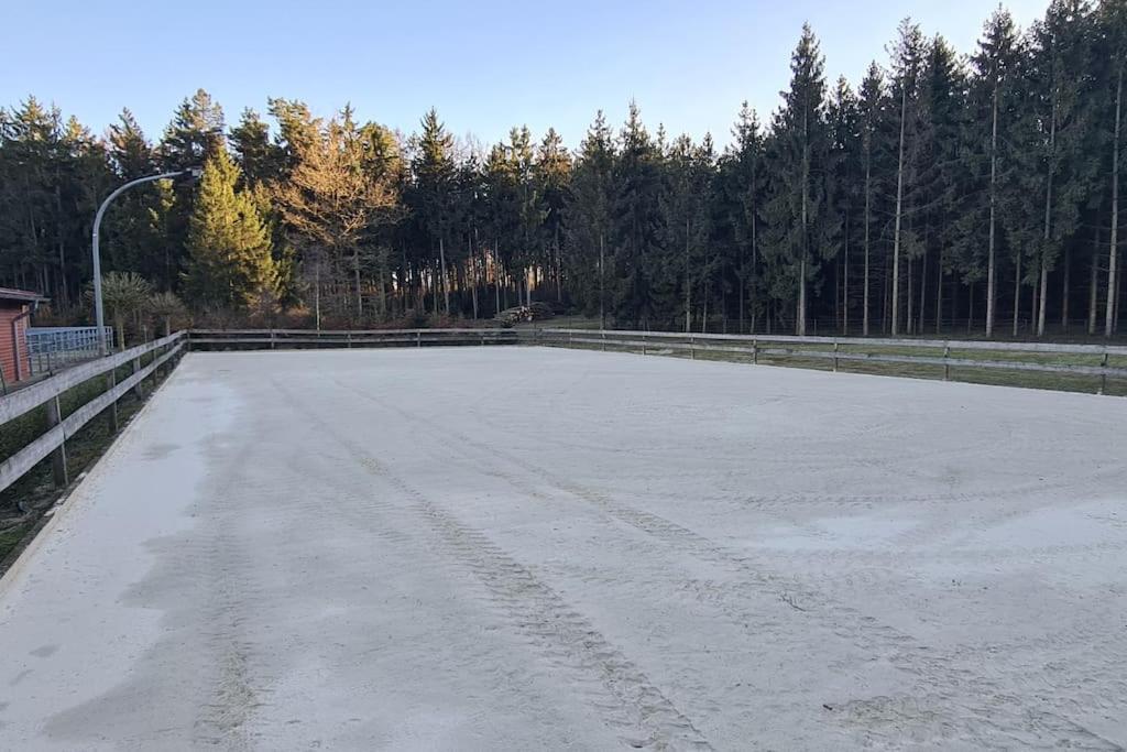 Pferdeparadies Untergruenhagen Bad Fallingbostel Buitenkant foto