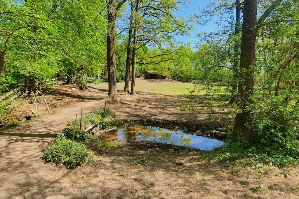 Pferdeparadies Untergruenhagen Bad Fallingbostel Buitenkant foto