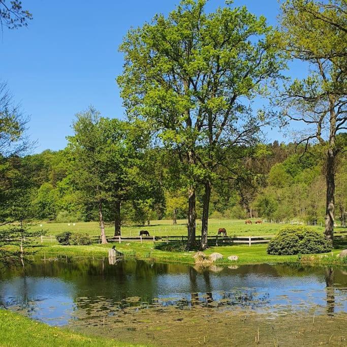 Pferdeparadies Untergruenhagen Bad Fallingbostel Buitenkant foto
