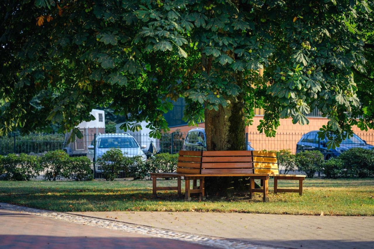 Pferdeparadies Untergruenhagen Bad Fallingbostel Buitenkant foto